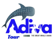 Adiva Tour – Indonesia Tours & Travel