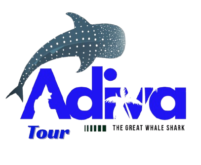 adivatour.com